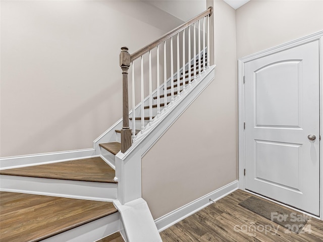 staircase with hardwood / wood-style floors