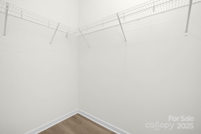 walk in closet featuring hardwood / wood-style flooring