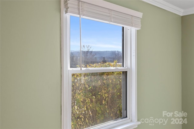 details featuring a mountain view and crown molding