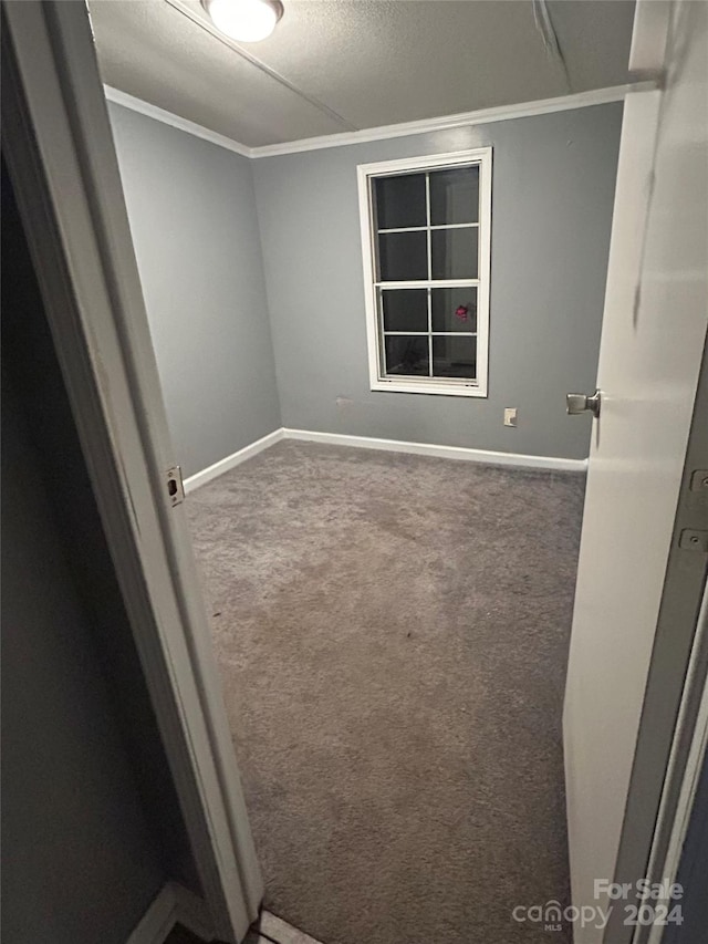 carpeted spare room featuring a textured ceiling and crown molding