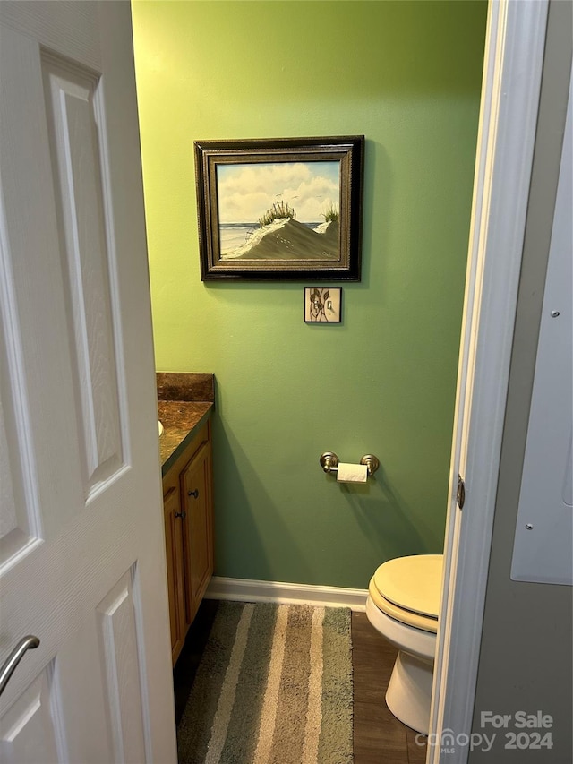 bathroom featuring vanity, wood-type flooring, and toilet