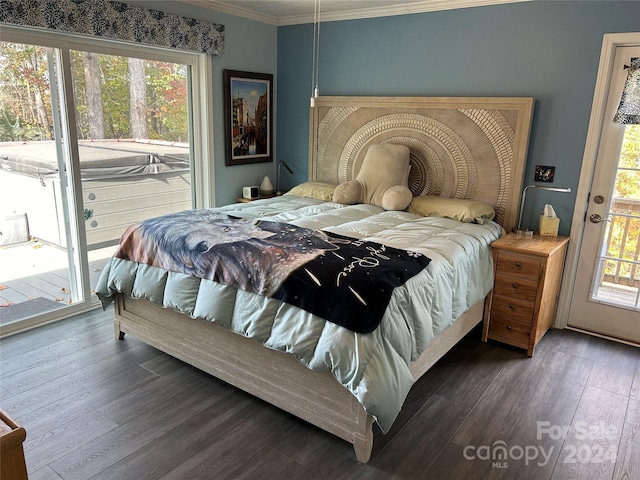 bedroom featuring access to exterior, dark hardwood / wood-style floors, multiple windows, and crown molding