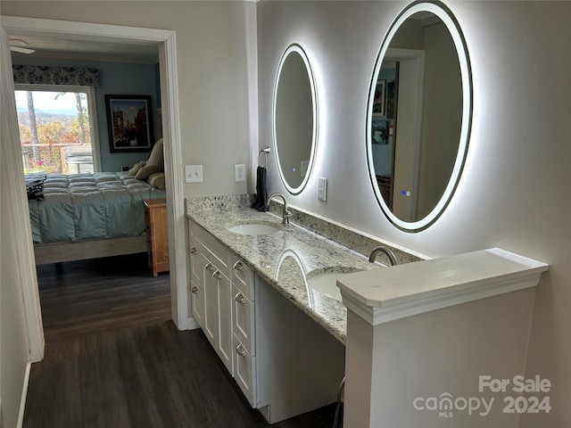 bathroom with hardwood / wood-style floors and vanity