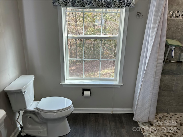 bathroom with a shower with curtain, hardwood / wood-style flooring, and toilet