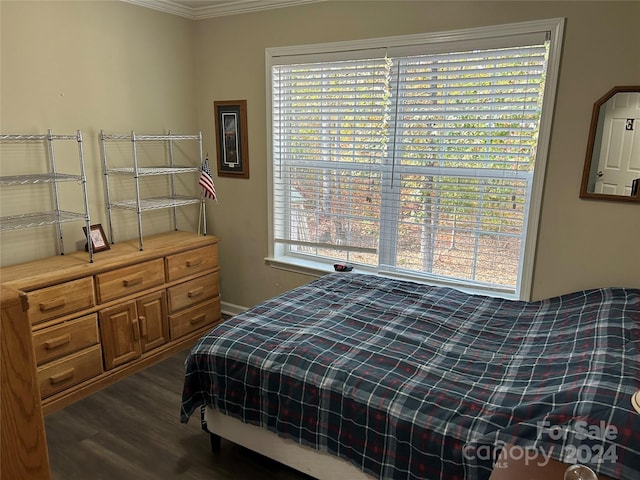 bedroom featuring dark hardwood / wood-style floors, ornamental molding, and multiple windows