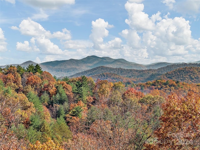 view of mountain feature