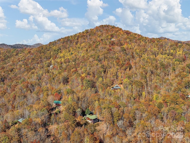 view of mountain feature