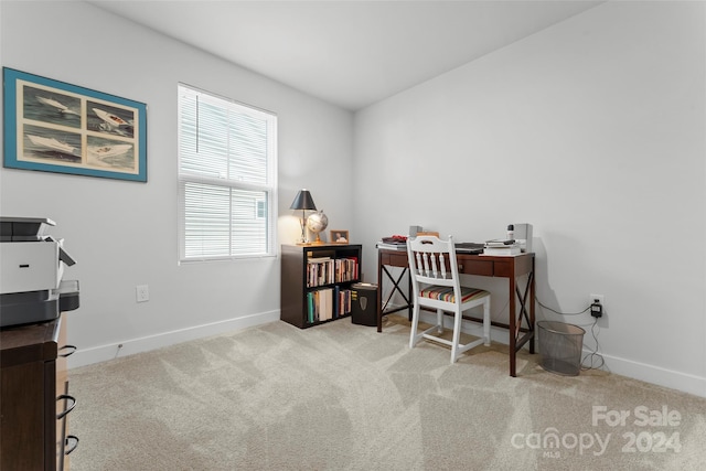 view of carpeted office space