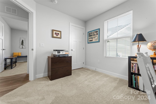 bedroom featuring multiple windows and light wood-type flooring