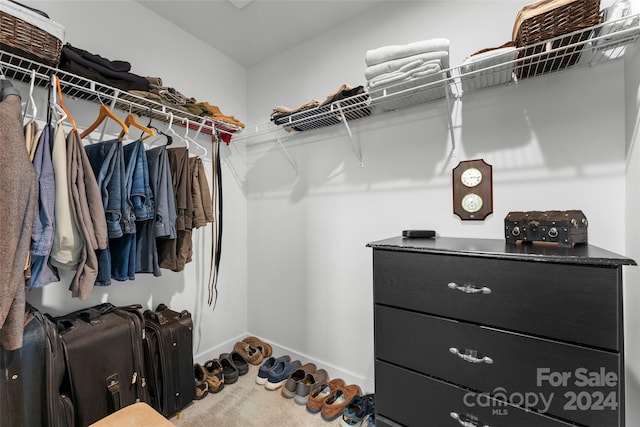 walk in closet featuring carpet