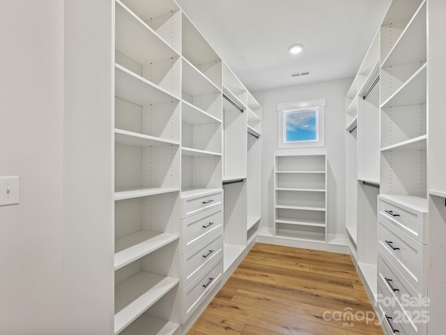 spacious closet featuring light wood-type flooring