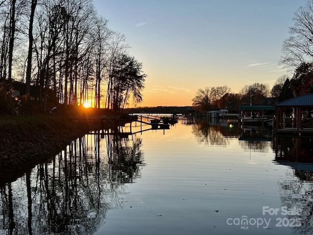 property view of water with a dock