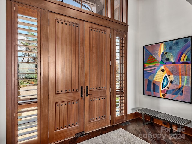 entryway featuring dark wood-type flooring