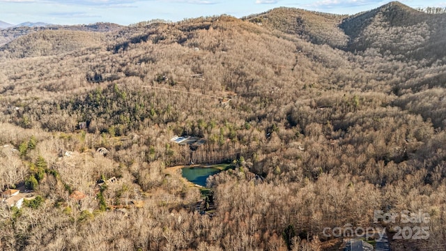 view of mountain feature with a water view