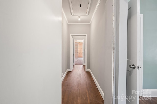 corridor featuring ornamental molding and dark hardwood / wood-style floors