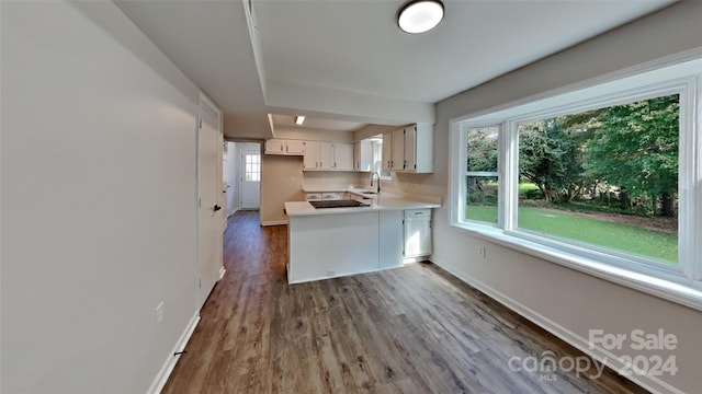 kitchen with white cabinetry, dark wood-type flooring, and sink