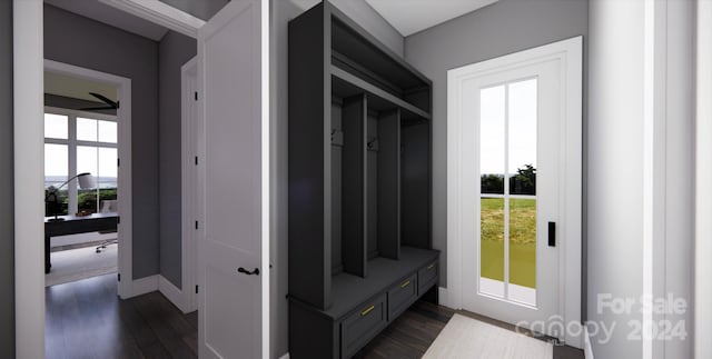 mudroom featuring dark hardwood / wood-style floors