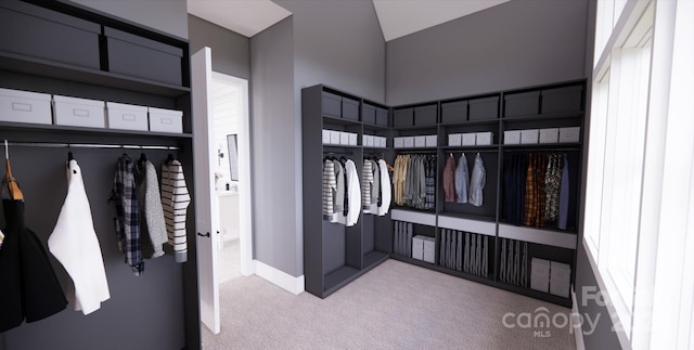 walk in closet with light colored carpet