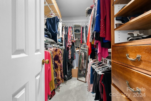 spacious closet featuring light carpet