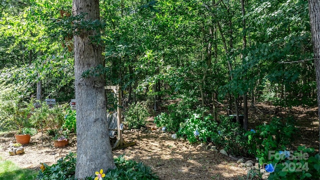 view of local wilderness