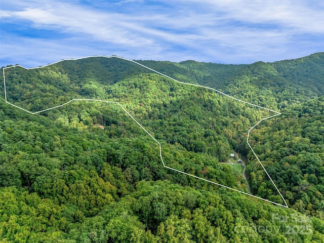 property view of mountains with a forest view