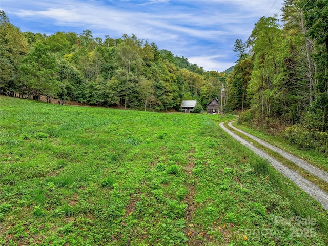 view of yard with driveway and a wooded view