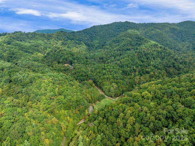 property view of mountains with a view of trees