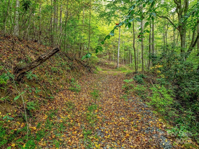 view of landscape with a forest view