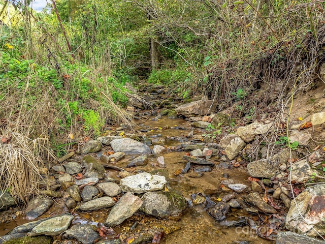 view of local wilderness