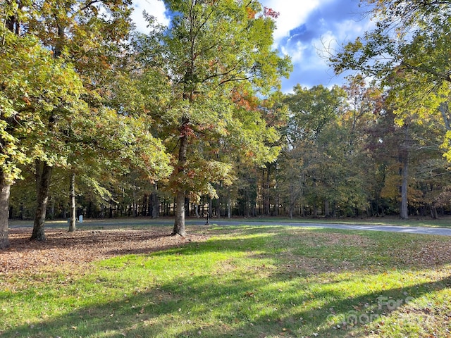 114 Candor Oaks Dr, New London, NC 28127 - photo 3