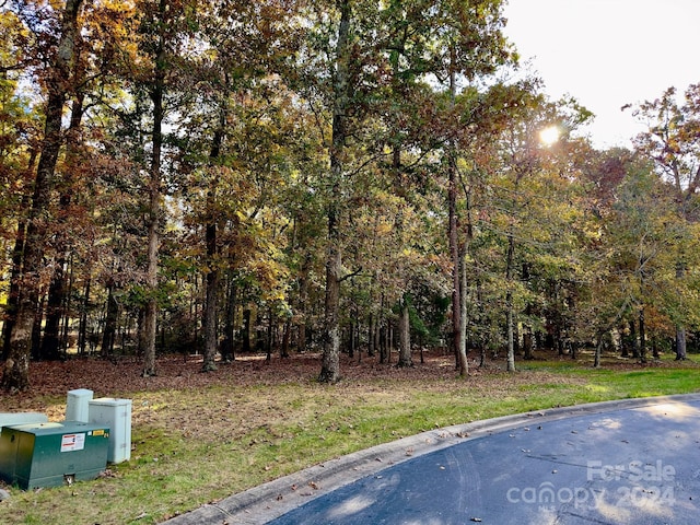 114 Candor Oaks Dr, New London, NC 28127 - photo 4