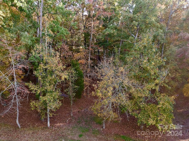114 Candor Oaks Dr, New London, NC 28127 - photo 5
