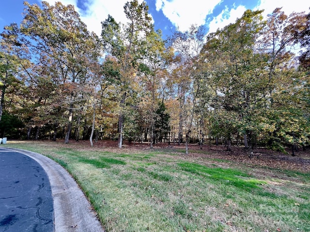 114 Candor Oaks Dr, New London, NC 28127 - photo 7