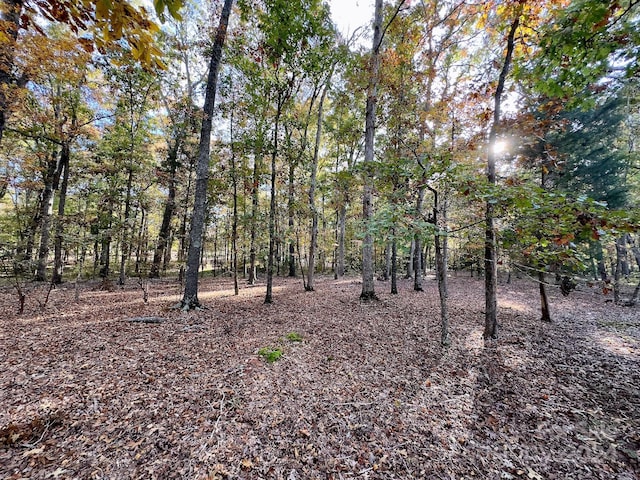 114 Candor Oaks Dr, New London, NC 28127 - photo 8