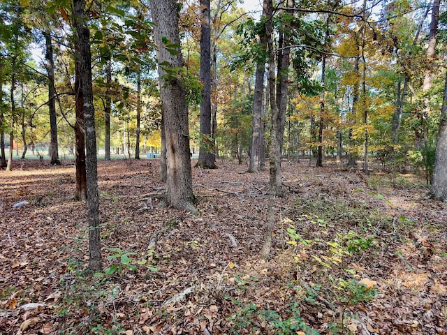 114 Candor Oaks Dr, New London, NC 28127 - photo 9