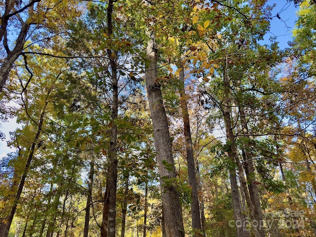 114 Candor Oaks Dr, New London, NC 28127 - photo 10