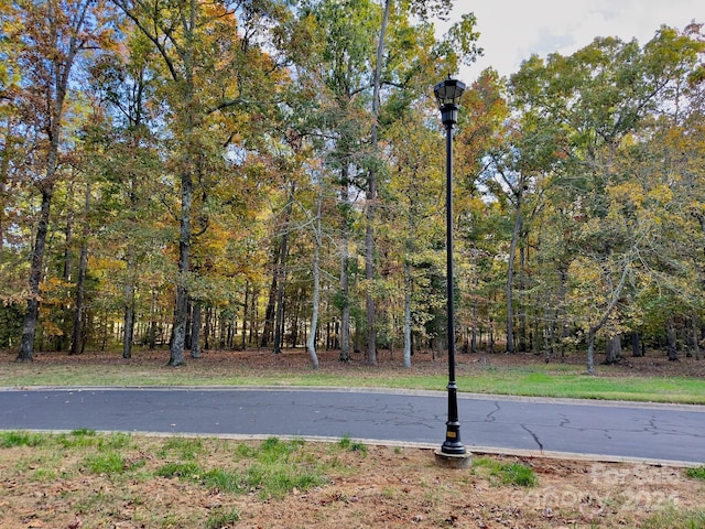 114 Candor Oaks Dr, New London, NC 28127 - photo 12