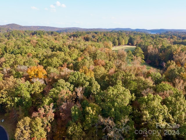 114 Candor Oaks Dr, New London, NC 28127 - photo 15