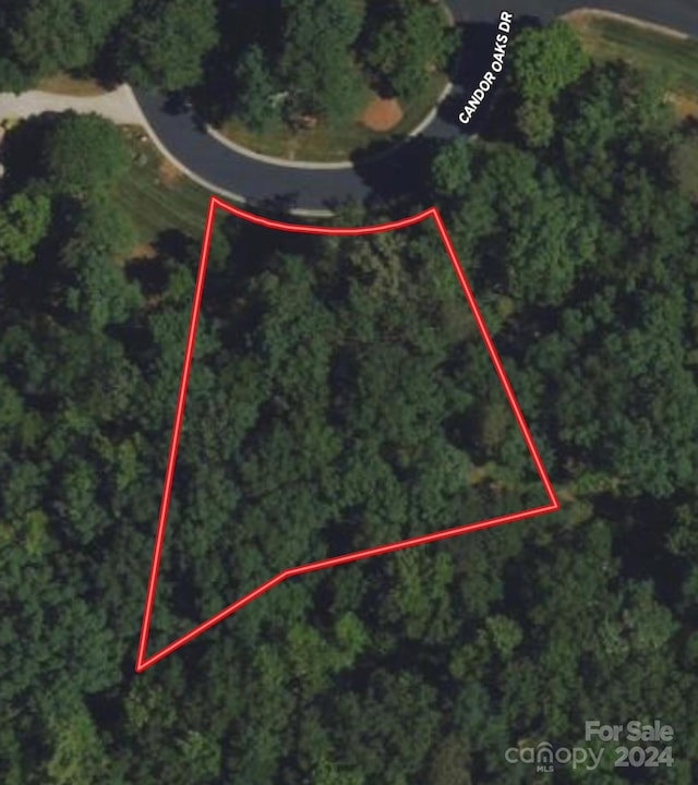 114 Candor Oaks Dr, New London, NC 28127 - photo 19