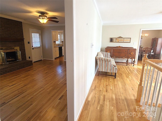 corridor featuring light hardwood / wood-style floors, sink, and crown molding