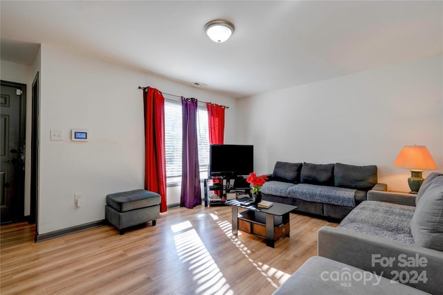 living room featuring wood-type flooring