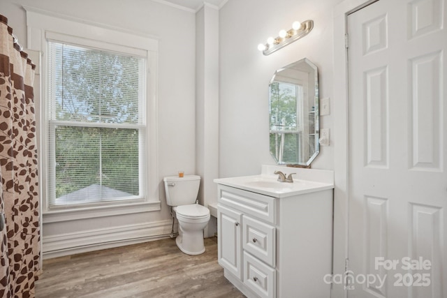 bathroom featuring hardwood / wood-style flooring, vanity, and toilet