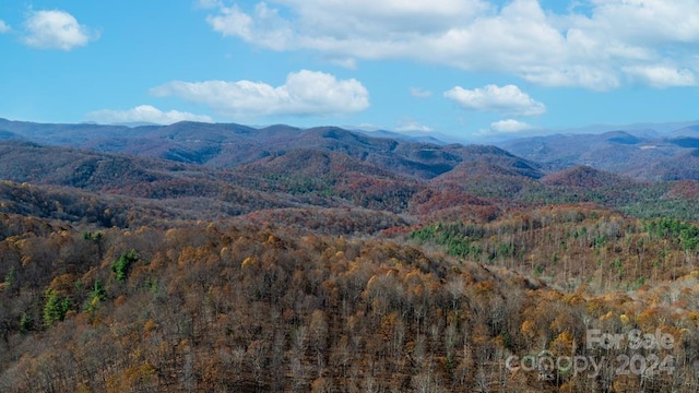 1767 Rock Bridge Rd, Tuckasegee NC, 28783 land for sale