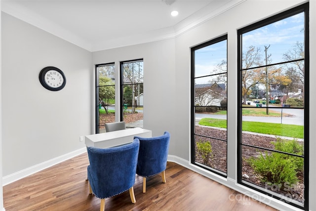 dining room with hardwood / wood-style flooring, plenty of natural light, and ornamental molding