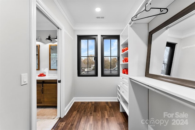 walk in closet featuring dark wood-type flooring