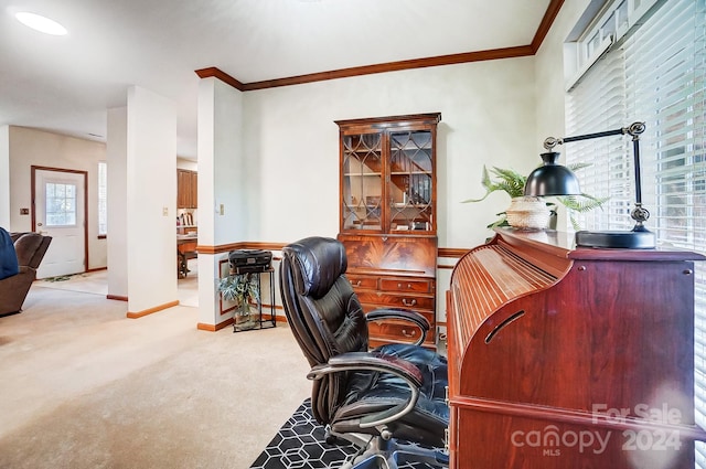 carpeted home office featuring a healthy amount of sunlight and ornamental molding