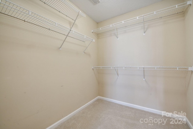 walk in closet with carpet flooring