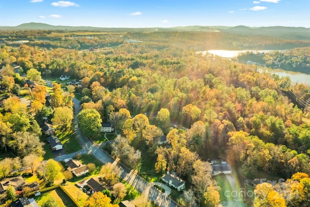 birds eye view of property featuring a water and mountain view