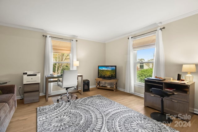 living area featuring light wood-type flooring, a wealth of natural light, and ornamental molding