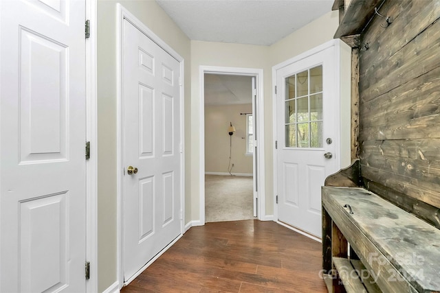 doorway featuring wood walls and dark hardwood / wood-style flooring